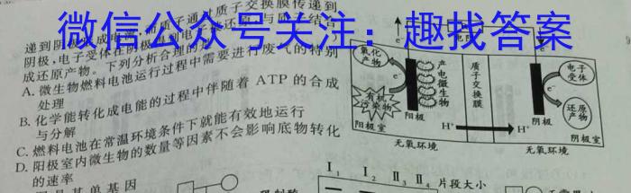 陕西省2024年初中学业水平考试模拟试题（二）数学