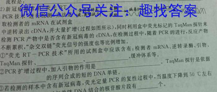 安徽省C20教育联盟2024年九年级第一次学业水平检测数学