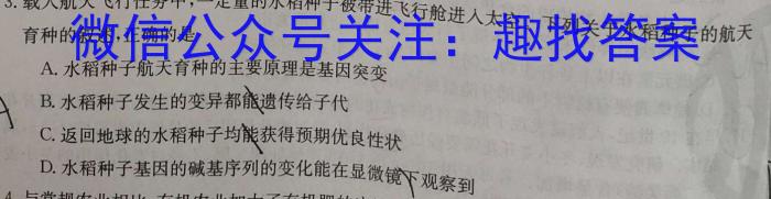 新向标教育 2024年河南省中考仿真模拟考试(三)数学