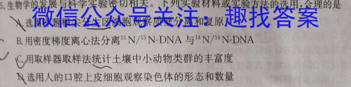 2024年葫芦岛市普通高中高三年级第一次模拟考试数学