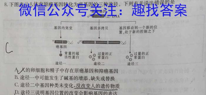 山西省朔州市2024-2023学年度八年级下学期期末学情调研测试题数学