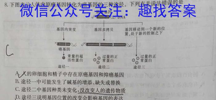 2024年湖南省普通高中学业水平合格性考试高二仿真试卷(专家版六)数学