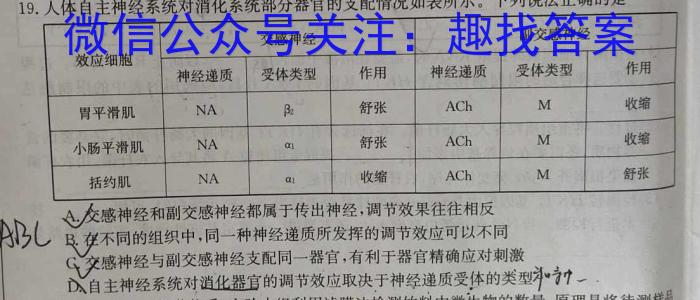 2024年黑龙江龙东联盟2023级高二学年上半学期10月月考数学