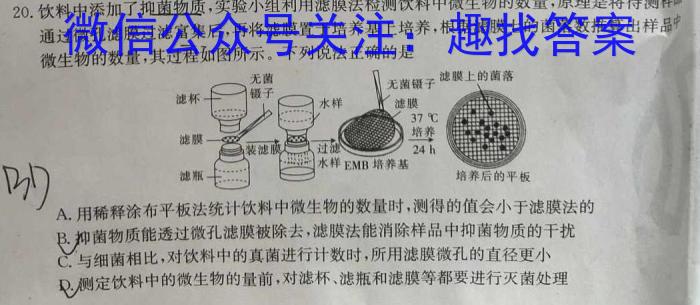 天一大联考2023-2024学年高一年级阶段性测试(三)数学