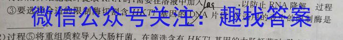 2024年普通高等学校招生演练考试(6月)数学