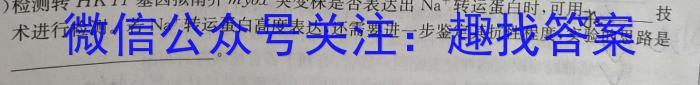 2024年陕西省初中学业水平考试定心卷数学