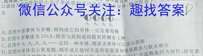 2024年陕西省初中学业水平考试仿真卷(五)5数学