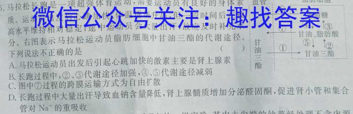 辽宁省2022-2023学年高二下学期期末考试数学