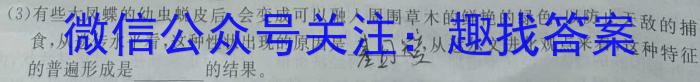 安徽省2024届九年级阶段评估(二)3L R数学