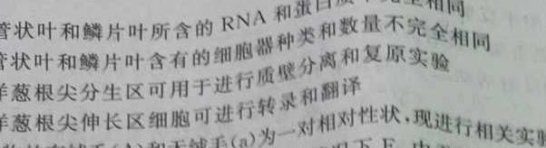 百校大联考·全国百所名校2024届高三大联考调研试卷(一)QG-1数学考试