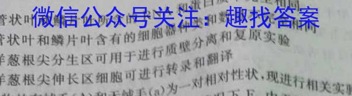 2024年普通高等学校招生全国统一考试专家猜题卷(二)2数学