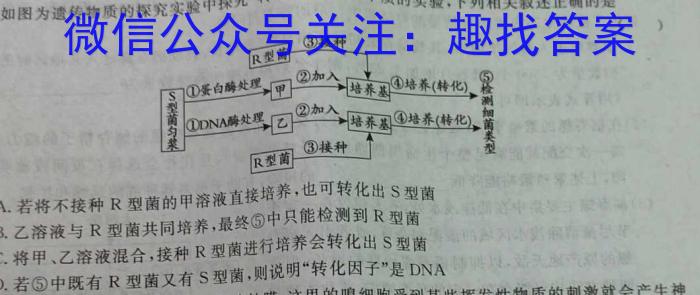 百校大联考 全国百所名校2024届高三大联考调研试卷(一)数学.