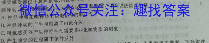 2023年安徽省名校之约第三次联考试卷数学