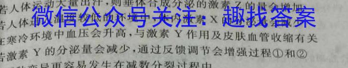 2023-2024学年度湘楚名校高一下学期5月联考数学