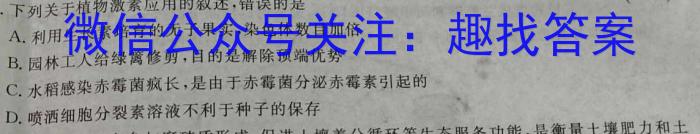 江西省2024年中考总复习专题训练 JX(九)9数学