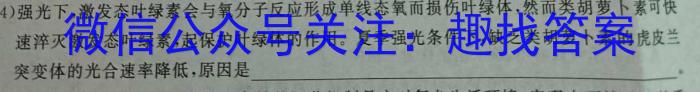 2024届广东省清远市十校高三下学期第二次模拟考试数学