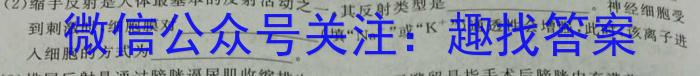 黑龙江省2023~2024学年度高三年级第四次模拟数学