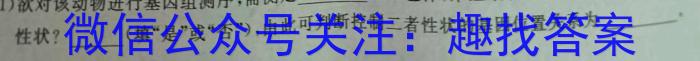 安徽省阜阳市2024/2023（下）八年级期末检测试卷数学