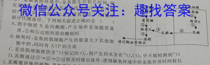 2024年河南省九年级第三次学业水平测试（A）数学