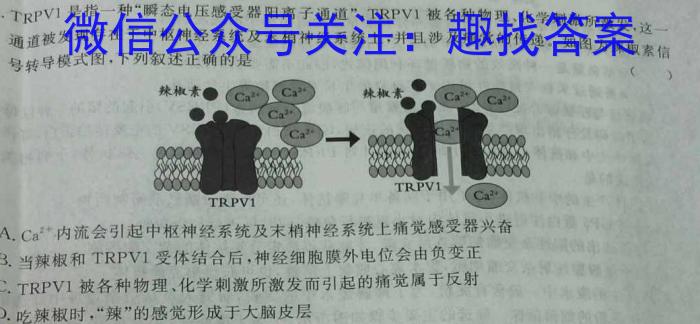 河南省2024年中考模拟示范卷 HEN(五)5数学