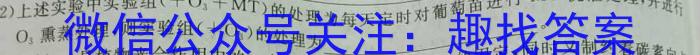 内蒙古2024届高三（10）一轮复习大联考文理 数学