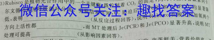 河南省2023-2024学年度九年级大联考阶段评估卷（一）数学