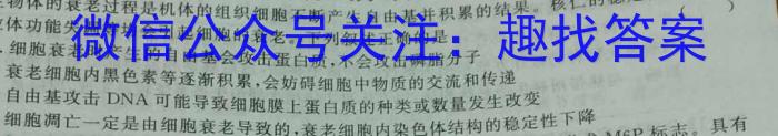 河北省2023-2024学年高一（上）质检联盟第三次月考数学