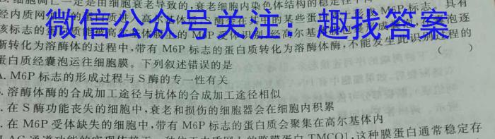 2024届山东名校考试联盟高三年级下学期开学联考数学