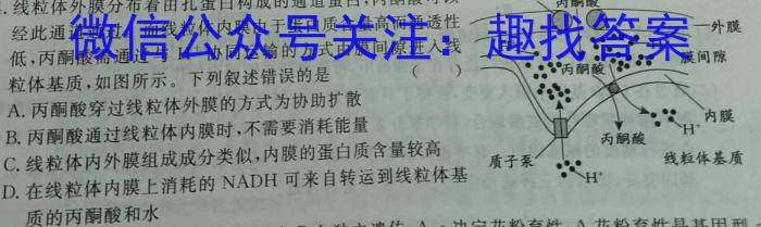 安徽省2024-2023学年度七年级下期末监测（6月）数学