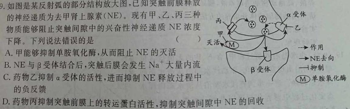 2023届辽宁省高三考试6月联考(23-476C)生物