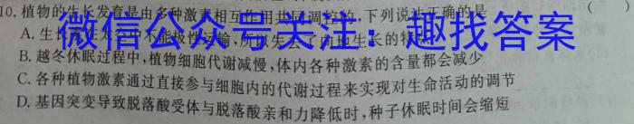 2023届中考导航总复习·模拟·三轮冲刺卷(二)2数学