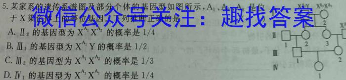 2024届渭南市高三教学质量检测(II)数学