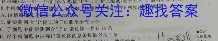 2024年普通高等学校招生全国统一考试压轴卷(T8联盟)(二)数学