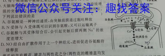 安徽省巢湖市2024-2023学年度八年级第二学期期末教学质量检测生物