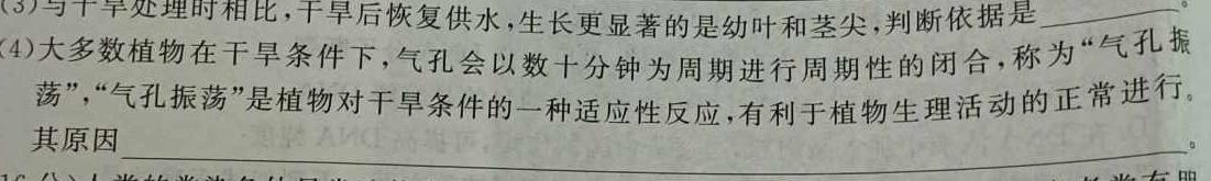 乐山市高中2025届教学质量检测数学考试