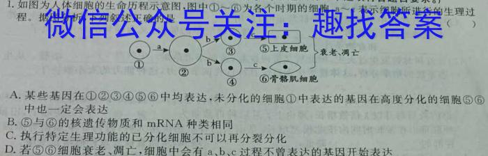 河南省2023-2024学年度第一学期九年级阶段性测试卷（3/4）数学