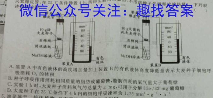 2024年普通高等学校招生全国统一考试压轴卷(T8联盟)(一)数学