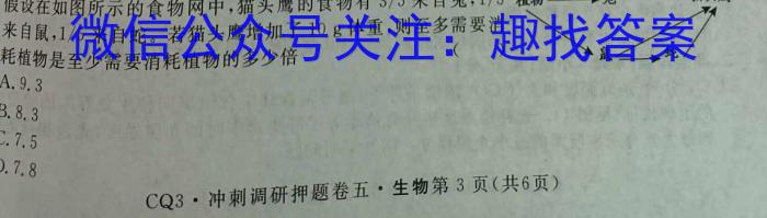 智慧上进·稳派大联考2022-2023学年高三5月高考适应性大练兵联考数学