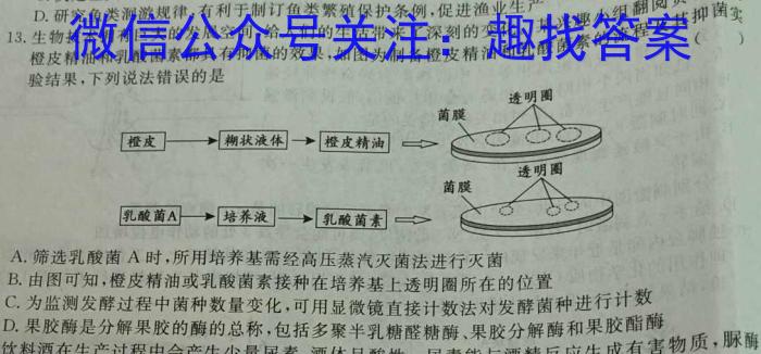 安徽省宿州市2023-2024学年度第一学期七年级期中教学质量检测数学