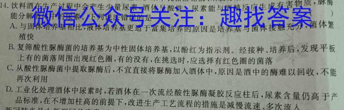 2024届陕西省高三模拟考试(5.4)(○)数学