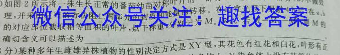 河南省U18盟校模拟卷内部专用版(一)1数学