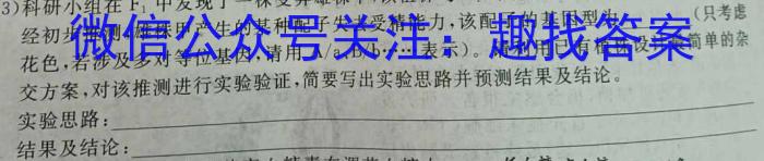 2024届辽宁省高三5月联考(24-519C)数学