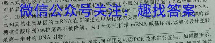 安徽省2023~2024学年度届八年级阶段质量检测 R-PGZX D-AH♯数学