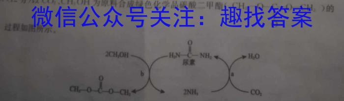 九师联盟 2022-2023学年高二洛阳强基联盟5月联考化学