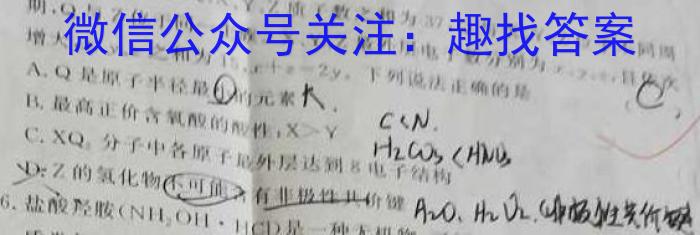 江西省2025届七年级《学业测评》分段训练（八）化学