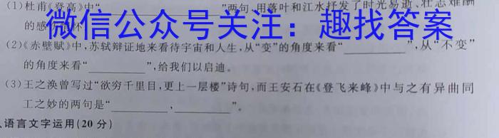 2023年陕西省初中学业水平考试模拟试题语文