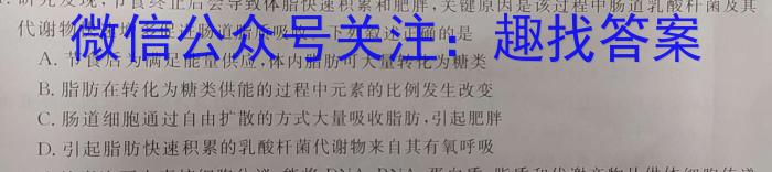 湖北省黄冈市2024届高三年级9月调研考试数学