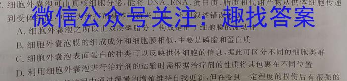 四川省成都市蓉城高中联盟2026届高一上学期期末考试数学