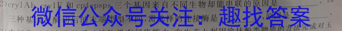 2024届衡水金卷先享题 信息卷(四)4数学