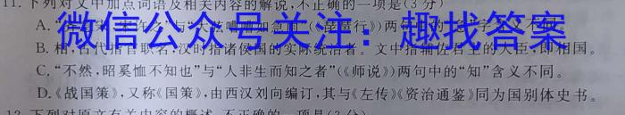 2023年广西初中学业水平考试(新中考)模拟卷(三)语文